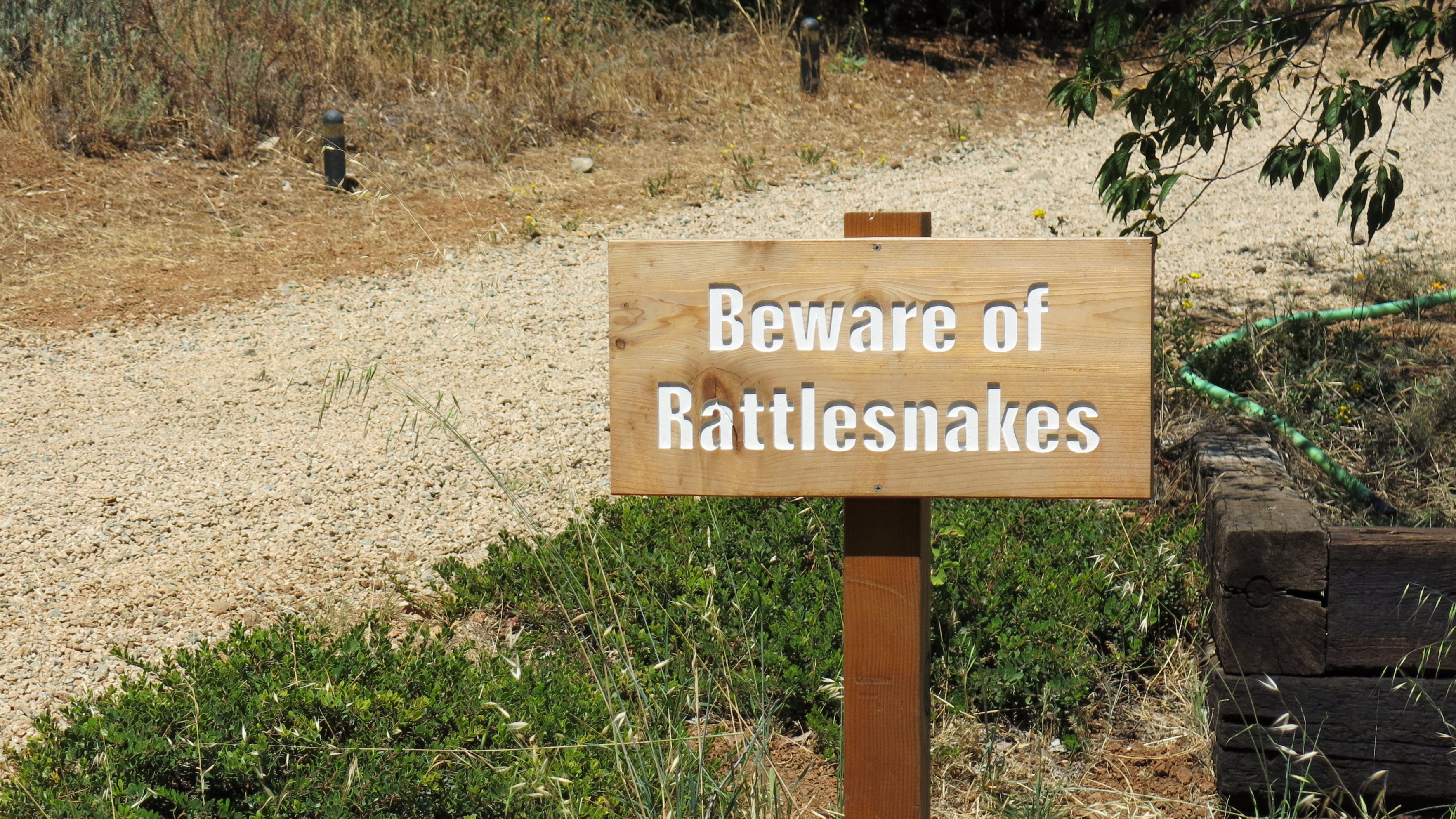 snake-warning_9391539040_o