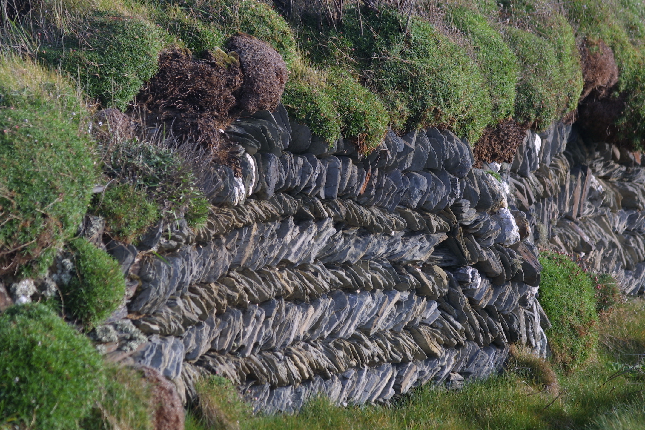 Corn Wall Dry Stone Wall